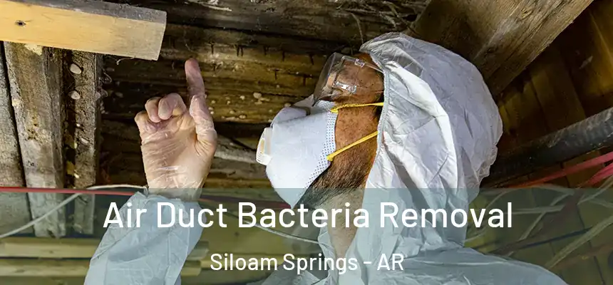  Air Duct Bacteria Removal Siloam Springs - AR