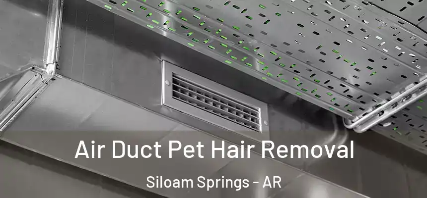 Air Duct Pet Hair Removal Siloam Springs - AR