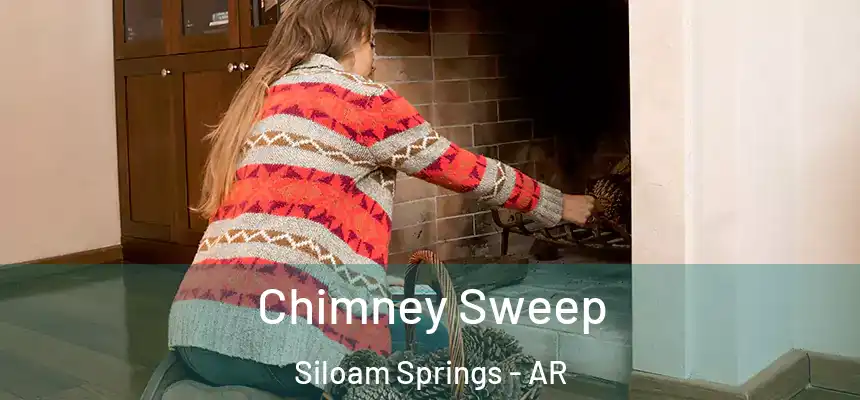 Chimney Sweep Siloam Springs - AR