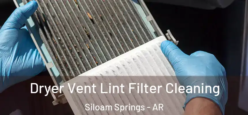  Dryer Vent Lint Filter Cleaning Siloam Springs - AR