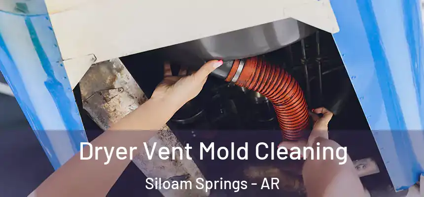  Dryer Vent Mold Cleaning Siloam Springs - AR