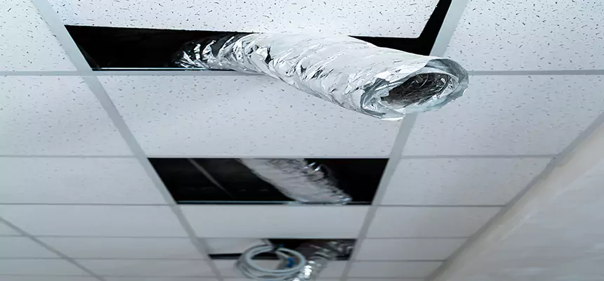 Affordable HVAC Sanitizing After Pest Removal in Siloam Springs