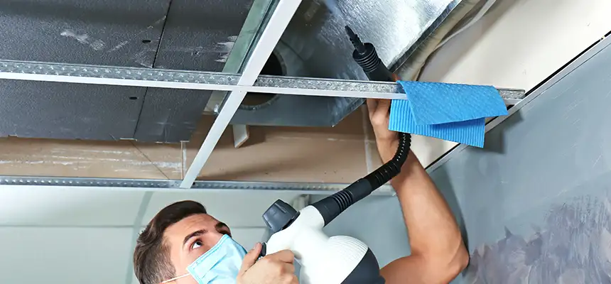 Our Air Duct Rodent Removal Services in Siloam Springs, AR