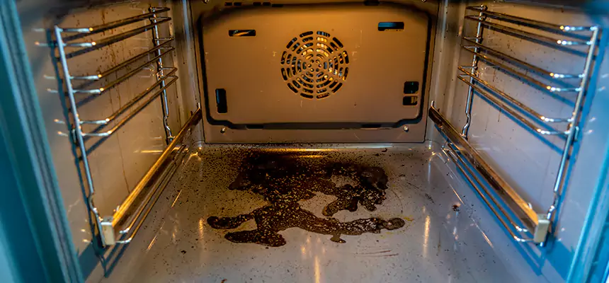 Our Dryer Vent Mold Cleaning Services in Siloam Springs, AR