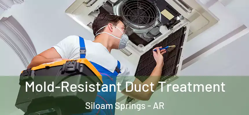  Mold-Resistant Duct Treatment Siloam Springs - AR