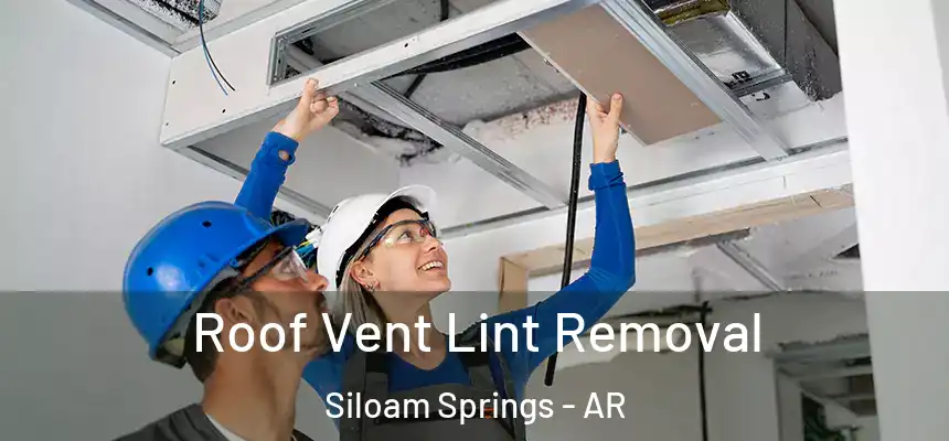  Roof Vent Lint Removal Siloam Springs - AR
