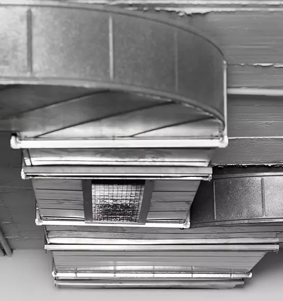 Professional Air Duct Pest Removal in Siloam Springs, AR