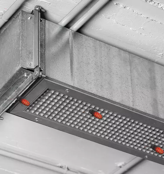 Affordable Insect Removal from Air Ducts in Siloam Springs, AR