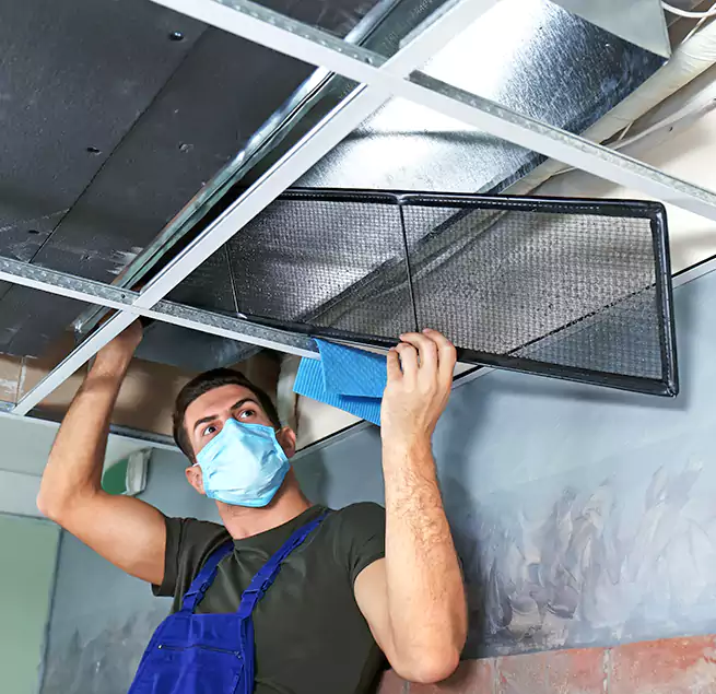 Why Homeowners Businesses Trust Us in Siloam Springs, AR