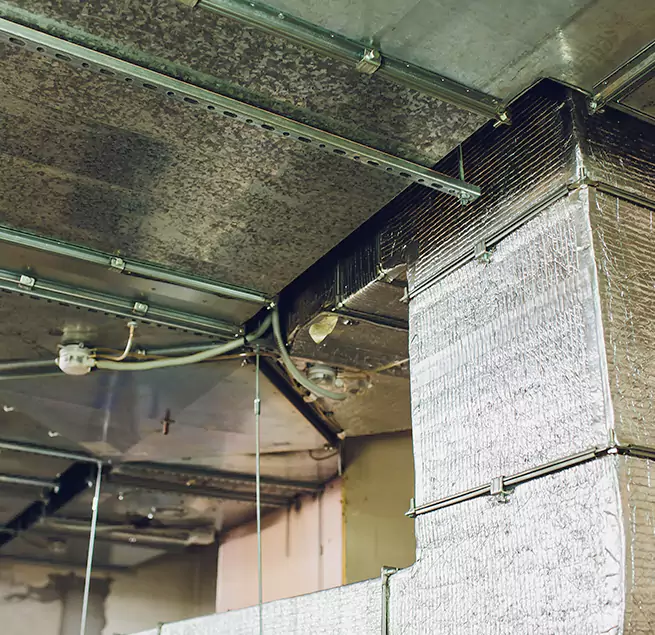 Why Homeowners & Businesses Trust Us in Siloam Springs, AR?